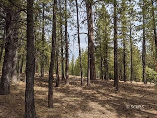 695 Debonair Dr, Duck Creek Village, UT 84762