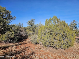 54892 N Potrero Ln, Seligman, AZ 86337