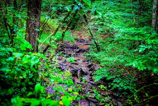 0 Saddler Rd, Manchester, KY 40962