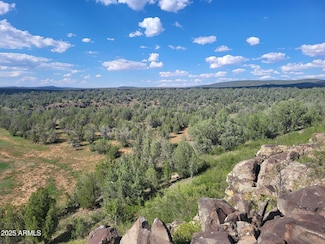 Lot 9 Terry Ln Unit 9, Williams, AZ 86046