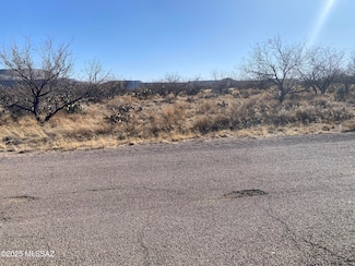 7471 W Lost Silver Ln Unit 171, Sahuarita, AZ 85629