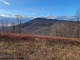0 Pointy Knob Unit 10153607, Canaan Valley, WV 26260