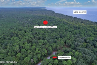 106 Marsh Ct, Georgetown, FL 32139