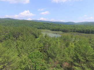 0 Beaver Pond Rd, Sutton, NH 03278