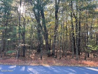 Lot 40 Lake Forest Dr, Delaware Township, PA 18328