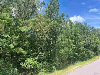Lot 2 Meadow Creek Rd, Glencoe, AL 35905