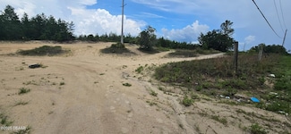 220 Ridge Rd, Satsuma, FL 32189