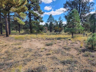 144 Mansions Cir, Pagosa Springs, CO 81147