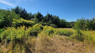 Lot 23 Bay Rd, Jonesboro, ME 04648