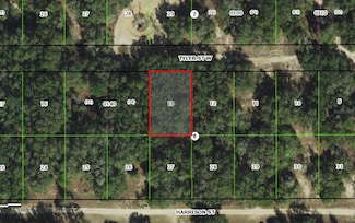 2911 Tyler St, Inverness, FL 34453