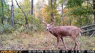 0 Paul Baker Rd, Fordsville, KY 42343