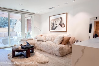 100 E Cooper Ave Unit 4, Aspen, CO 81611