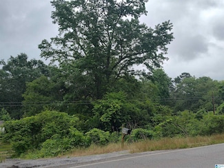 3640 Logan Martin Dam Rd Unit 3640, Cropwell, AL 35054