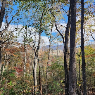 Lot 10 Enchantment Way, Hiawassee, GA 30546