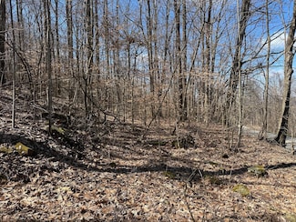 176 Tennessee 108, Morrison, TN 37357