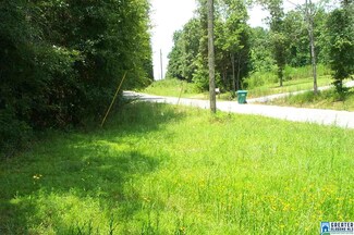 0 Cunningham Ln Unit 1 790815, Eastaboga, AL 36260