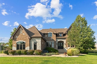 8748 Chilton Ct, Frankfort, IL 60423
