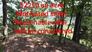 4200 Levelwoods Rd, Campbellsvlle, KY 42718
