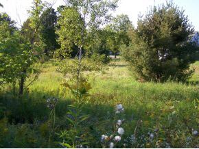 2 Lamoille Ave, Hardwick, VT 05843