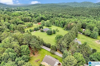 155 Oak Grove Rd, Springville, AL 35146