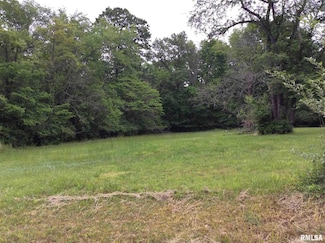 11530 N 28th St, Mount Vernon, IL 62864