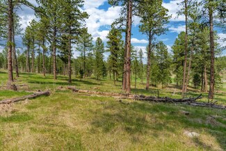 TBD Star Valley Dr Unit Tract Wandering Acre, Custer, SD 57730