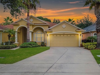 20821 Amanda Oak Ct, Land O Lakes, FL 34638