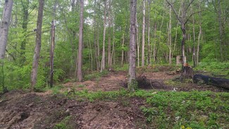 115 Hollow Creek Ct, Mammoth Cave, KY 42259