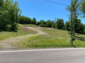 19228 Leatherwood Rd, Salesville, OH 43778