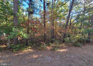 3538 Reading Ave, Batsto, NJ 08037
