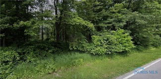 290 S Crissey Rd, Holland, OH 43528