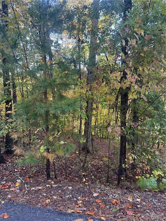 42 Channel Ln, Salem, SC 29676