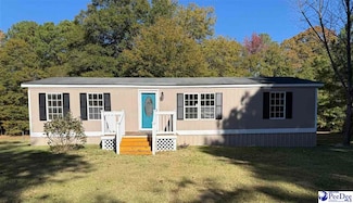 302 McCowns Millpond Rd, Darlington, SC 29540