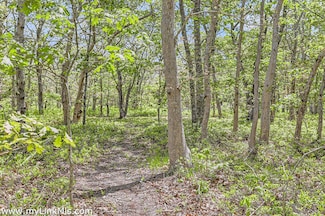 25 Plum Bush Point Rd Unit 6, West Tisbury, MA 02568