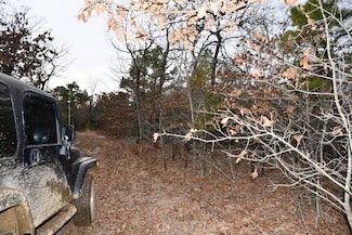 NPA Wren Ln, Wister, OK 74966