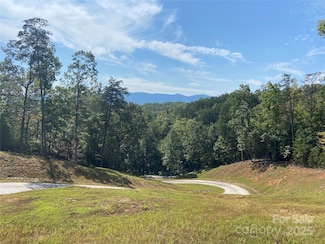 000 Ridgeland Way, Mill Spring, NC 28756