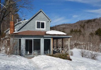 293 Newton Rd, Reading, VT 05062