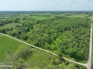 3200 E Grange Rd, Henry Township, MO 64778