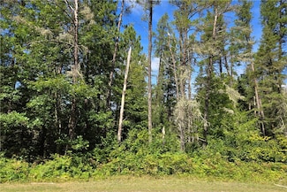 Lot 86 & 87 Oak Ct, Cable, WI 54821