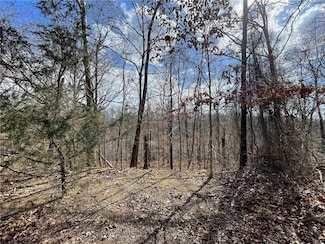 Lot 62 Regis Ln, Bella Vista, AR 72714