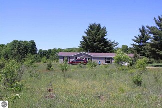 6001 Riverview Rd, Mesick, MI 49668