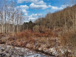 6010 Nys Rte 242 Lot #6, Ellicottville, NY 14731