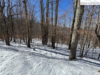 120 Aster Trail, Beech Mountain, NC 28604