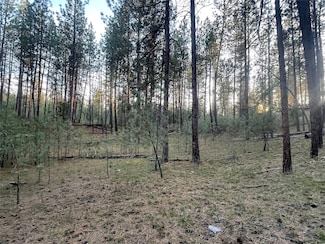 NHN Leanin Tree Ln, Pablo, MT 59864