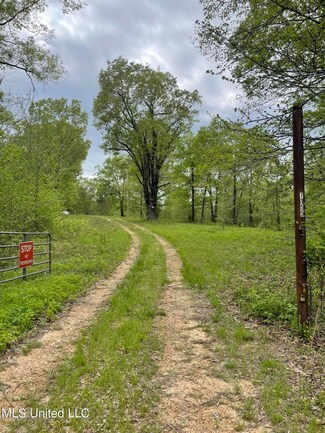 7155 Tate Marshall Rd, Coldwater, MS 38618