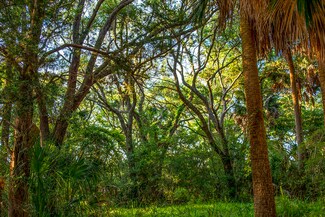 44 Hammocks Way, Edisto Island, SC 29438