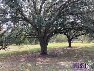 17229 E Swamp Rd, Prairieville, LA 70769