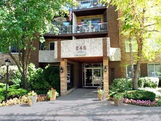 245 S Park Ln Unit 317, Palatine, IL 60074