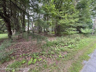 LOT 38 Park Ave A K A Lexington Ave, Mt. Pocono, PA 18344