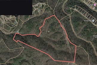 0 S King Branch Rd Unit RTC2908148, Sevierville, TN 37876